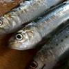 農大一魚一会