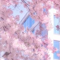 小孩群~~~