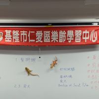 仁愛樂齡紙模型班同學會