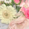 プレ花嫁様&卒花様のオープンチャット👗💗【happiny】