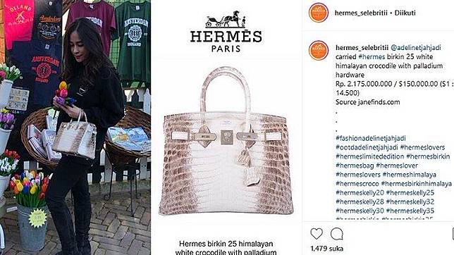 Profil Adeline Tjahjadi, Pemilik Tas Hermes Rp2 Miliar