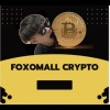 炒小幣foxomallcrypto 幣圈交流群