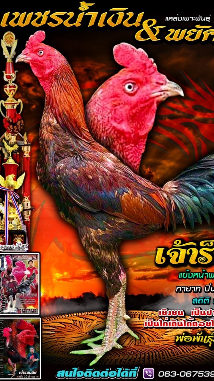 เพชรน้ำเงิน ฟาร์ม (พยัคฆ์นรา)