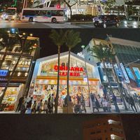 跟著南翔玩世界｜百威旅遊