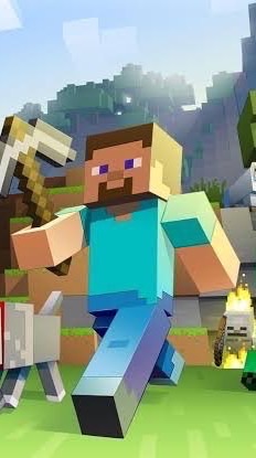 マイクラ！