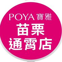 寶雅苗栗通霄店好康報報