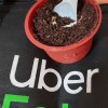 Uber Eat 桃園外送員討論區