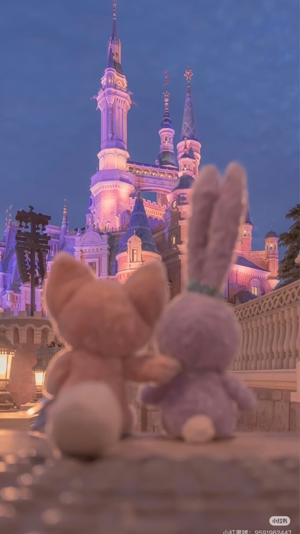 旅遊找小喬🩵馬上幫你喬