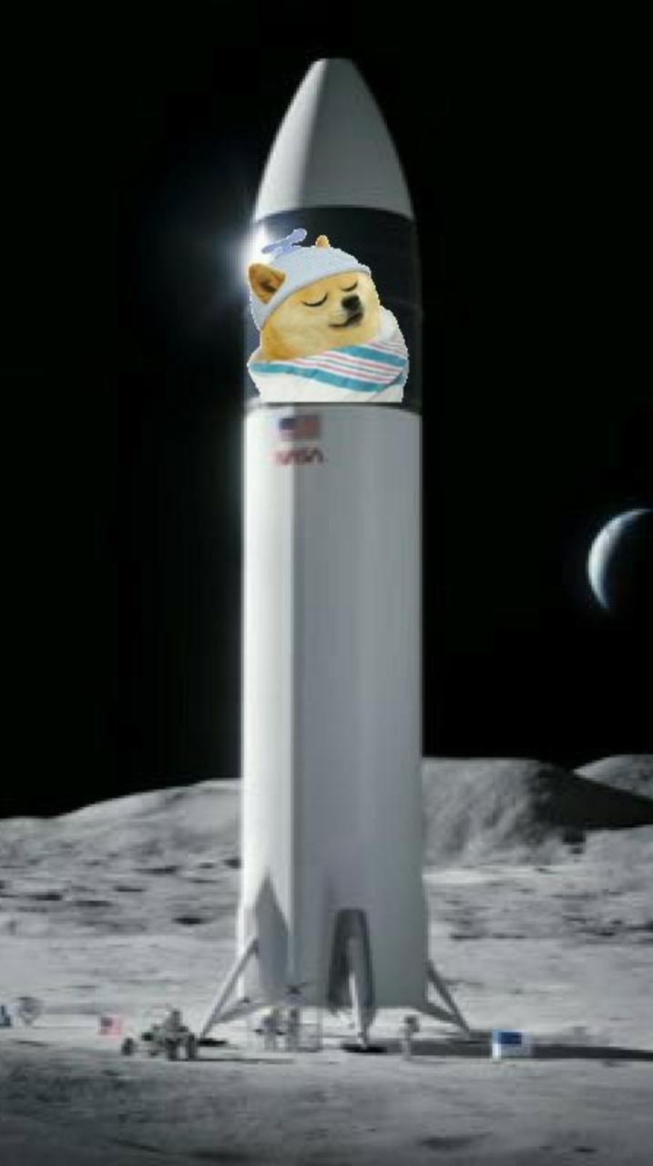 🔍【教學】BabyDoge🚀