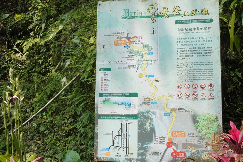 宜蘭.礁溪 臺灣的抹茶冰淇淋山，網美級小百岳仙境，挑戰聖母山莊步道，順收五峰旗瀑布