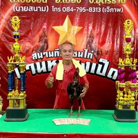 ซุ้ม.เพชรพิจิตร 💎🐓