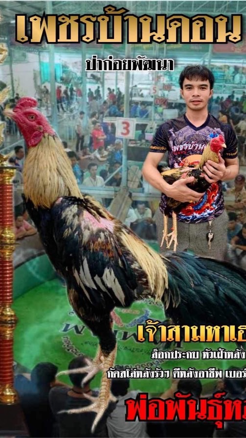 เพชรบ้านดอนป่าก๋อยพัฒนา