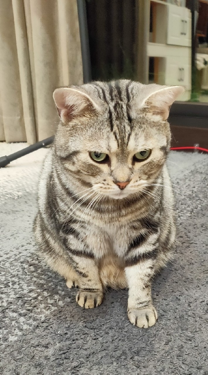 運軒生活百貨、寵物飼料用品