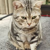 運軒生活百貨、寵物飼料用品