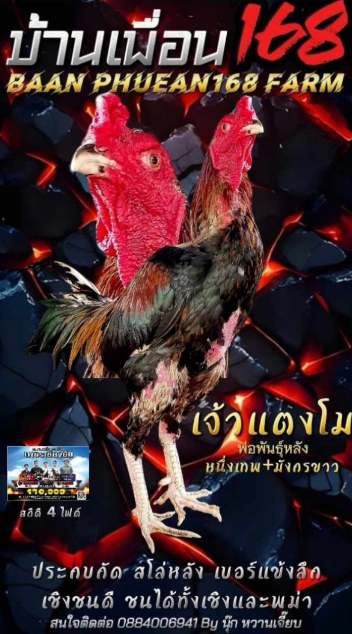 บ้านเพื่อน​168