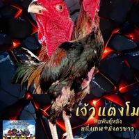 บ้านเพื่อน​168