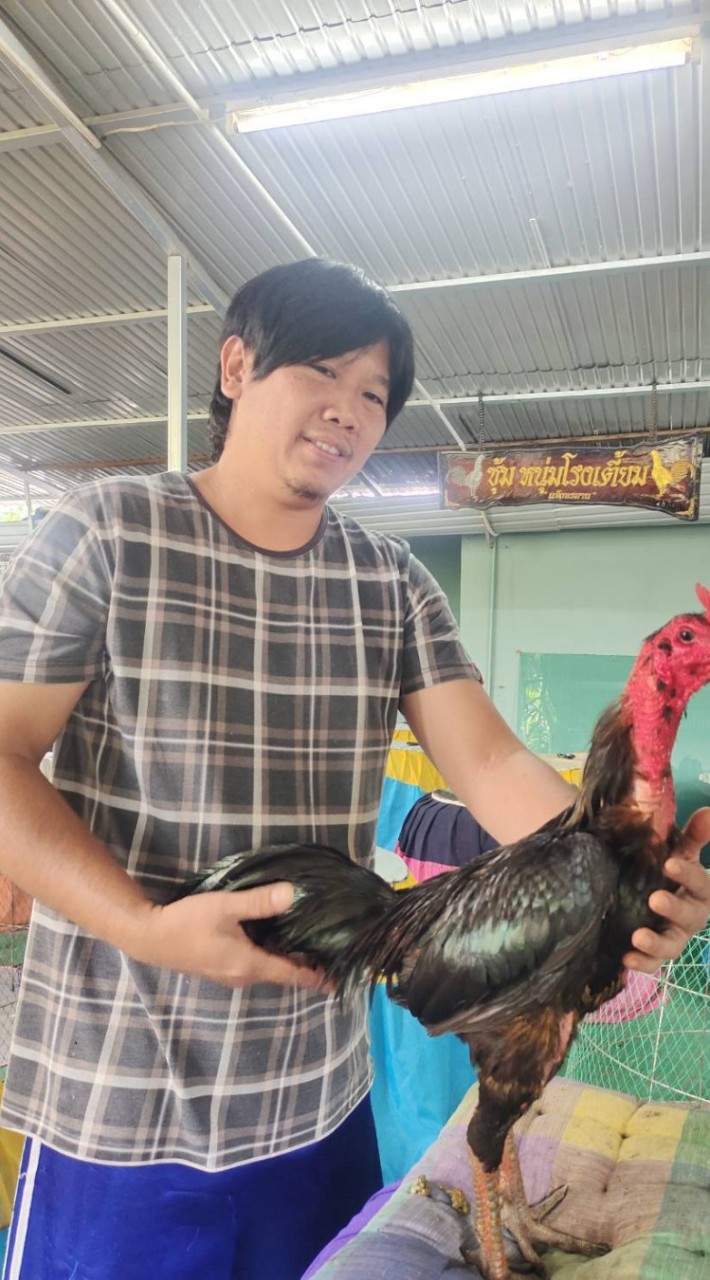 ซุ้มไก่ชนหนุ่มโรงเตี้ยม🐓
