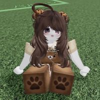 さふぁりのおぷちゃ