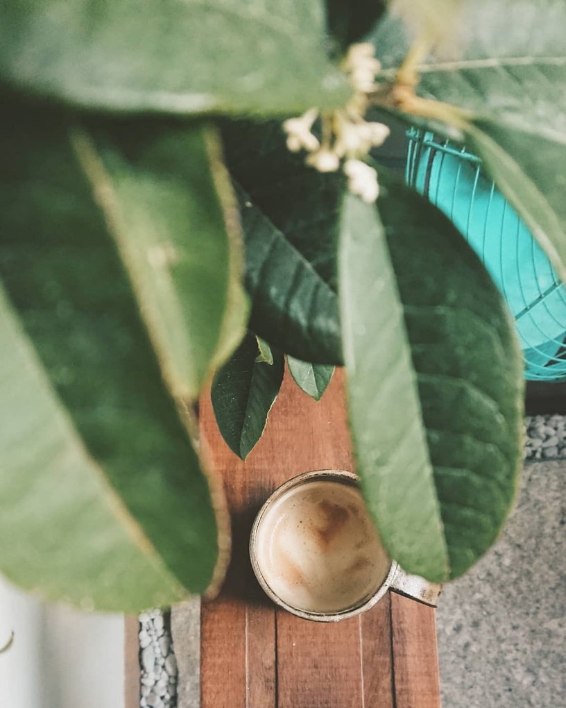 台北老宅咖啡廳推薦：北風社