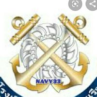 NAVY 33