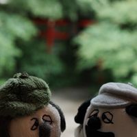 12/20-12/22福岡代購