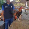 FC.สายเลือด ทองมงคล