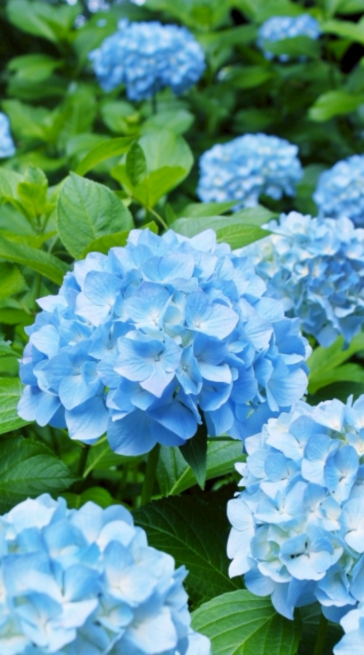 🏮千葉　昼飲み部🏮(30〜50代中心)　雑談　情報交換　初心者歓迎です🔰
