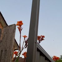 找不到人陪的話打開這裡