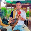 ตลาดซื้อขายไก่ชนเชียงใหม่และใกล้เคียง by.ม๊อกแม่น