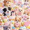 💞緣聚來自你我🌺相聚來自緣份💞