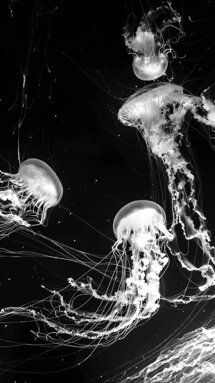 ✨หาเพื่อน คุยเล่น หาแฟน 24ชม.✨