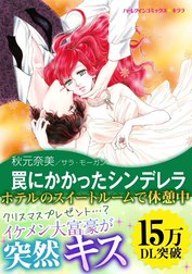 罠にかかったシンデレラ