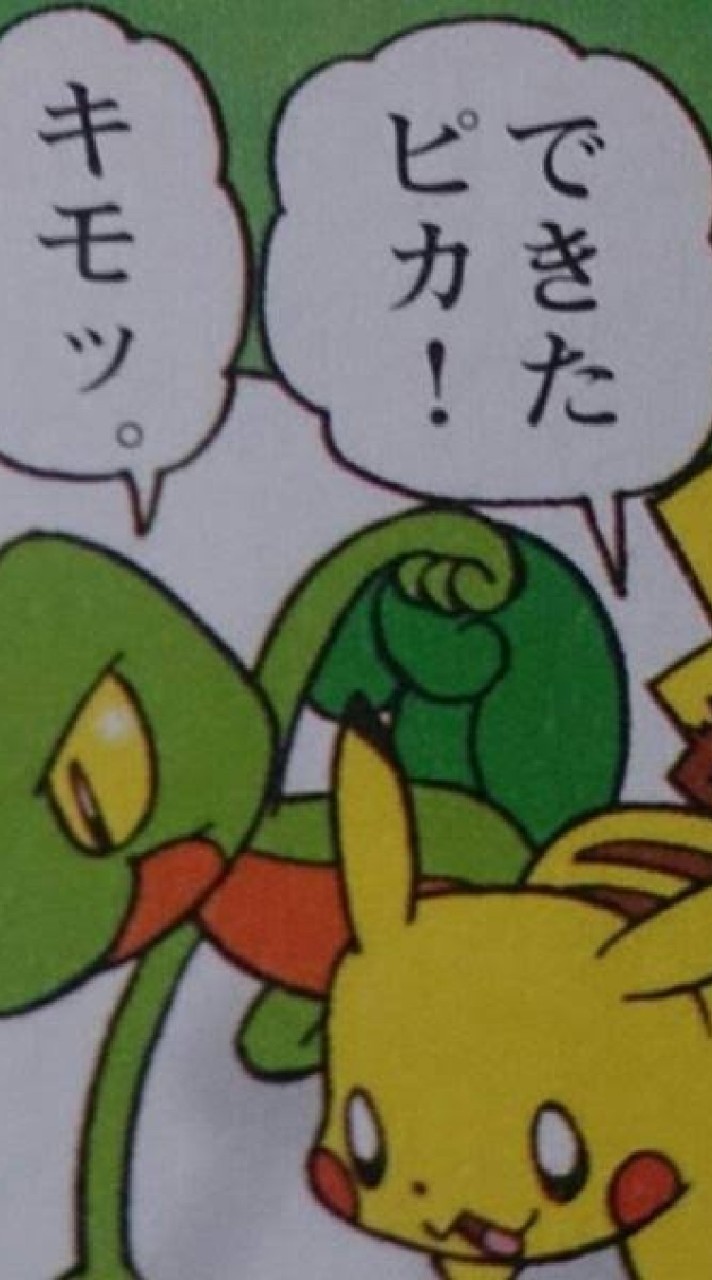 きもり