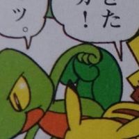 きもり