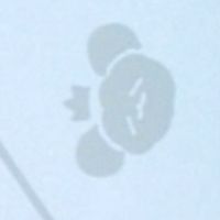からぴちイラスト描こ！雑談も！[見る専⭕️]