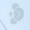 からぴちイラスト描こ！雑談も！[見る専⭕️]