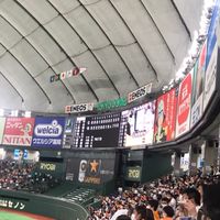 読売ジャイアンツ熱狂的なファン