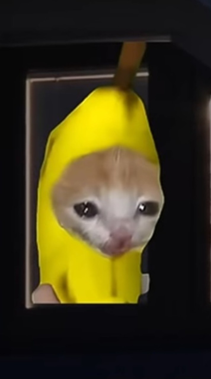 banana cat