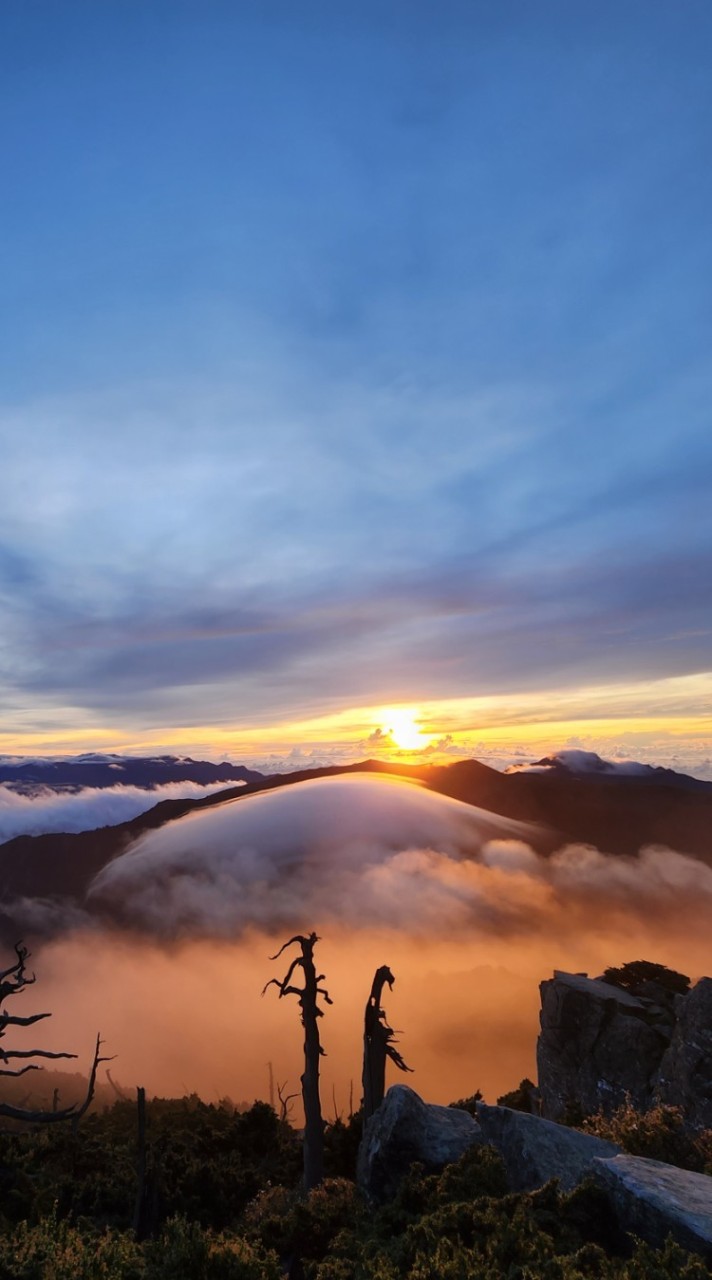 岳野登山社（國內賴 @103yzztw