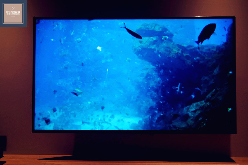 和逸飯店水族館直播頻道