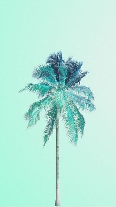 🌴棕櫚樹🌴當沖/日內/波段戰術討論區