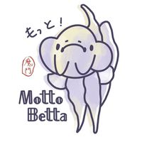 魔鬥魚室𝕄𝕠𝕥𝕥𝕠 𝔹𝕖𝕥𝕥𝕒