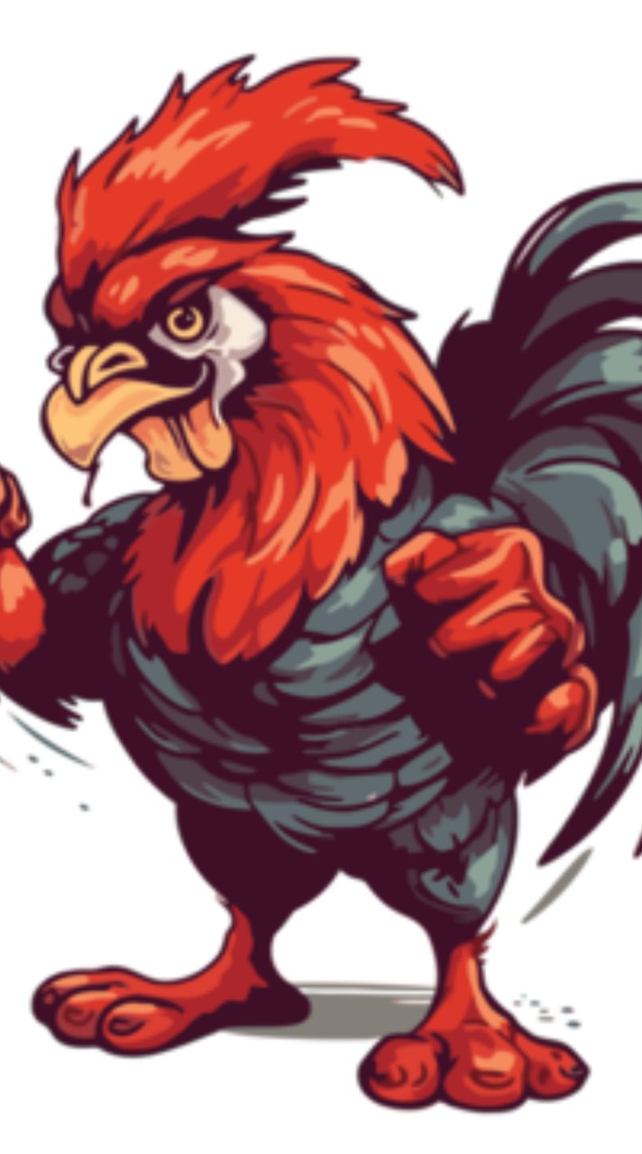 สนามไก่ชนไก่แก้ว🐓🐓