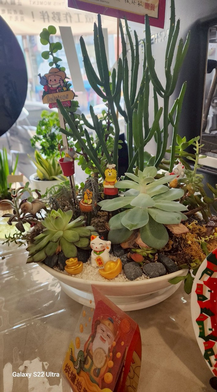 執子之手夫復何求