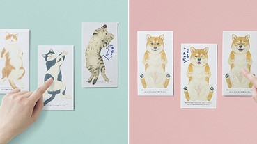 重現貓與柴犬肚子香味的一筆箋