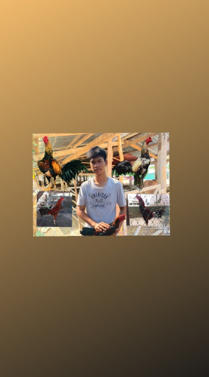 ซุ้ม.ทีเค(TK)ฟาร์ม