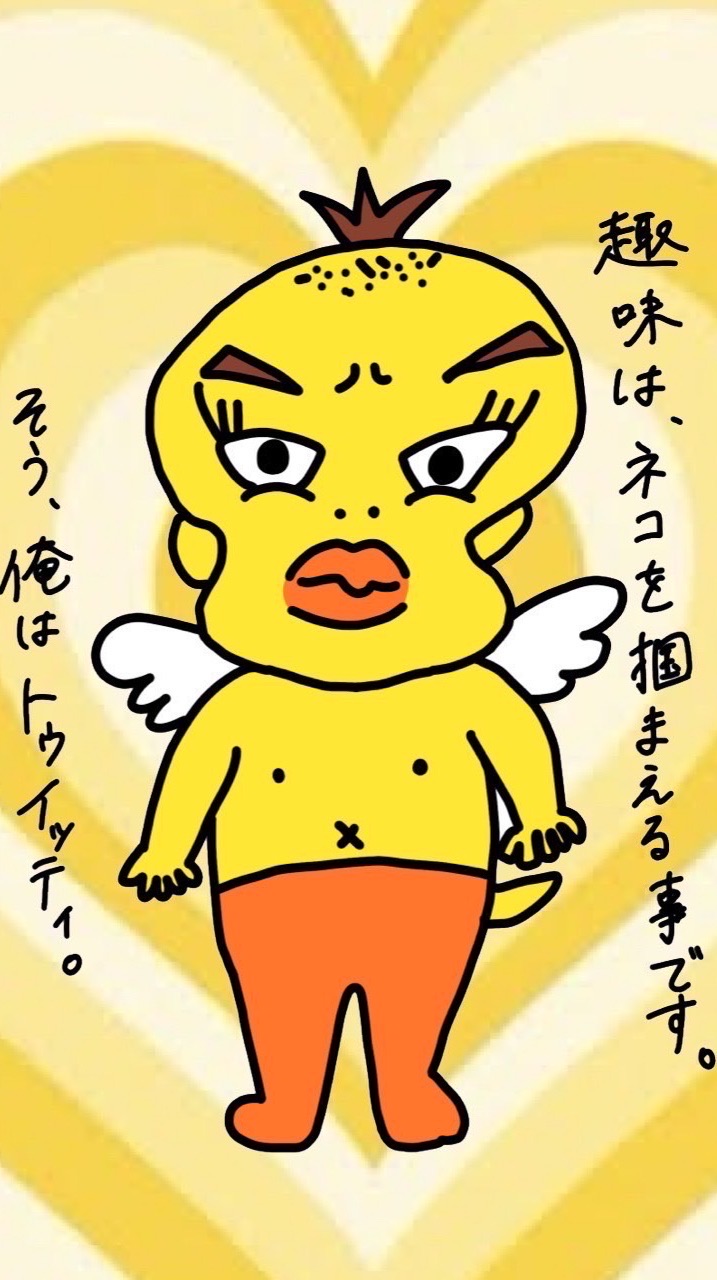 まるこーしきおぷちゃ✄✄✄