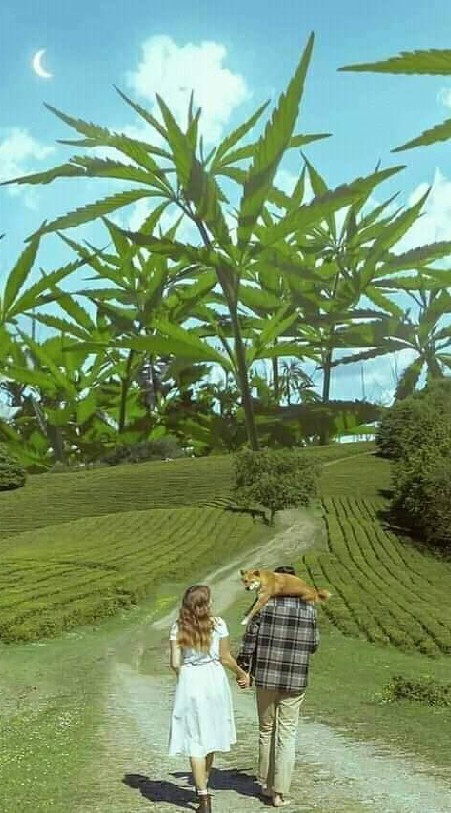 เสรีฅนสายเขียว
