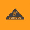 BURROWS REPTILE OpenChat
