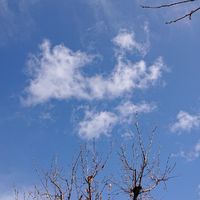復業革命グループ